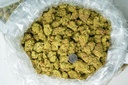 ALASKAN THUNDER FUCK
