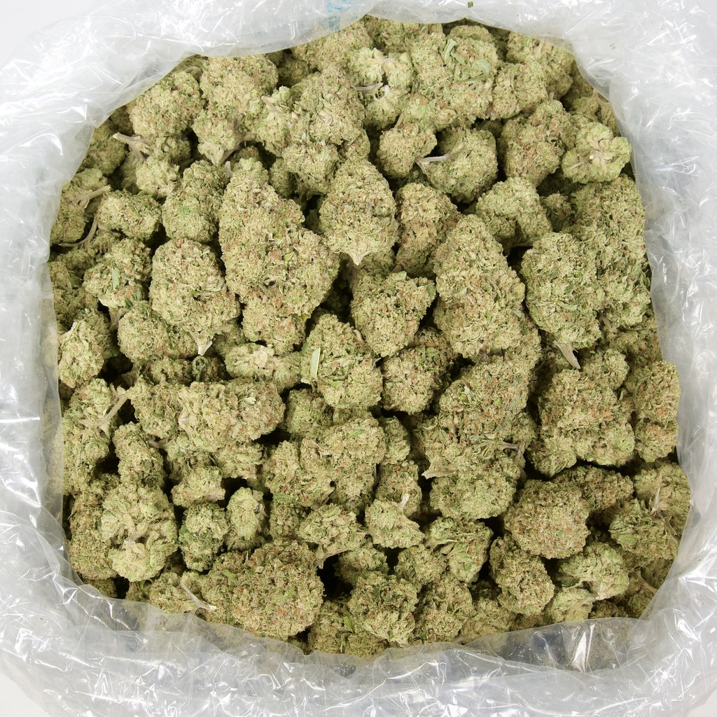 ALASKAN THUNDER FUCK