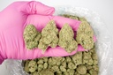 ALASKAN THUNDER FUCK