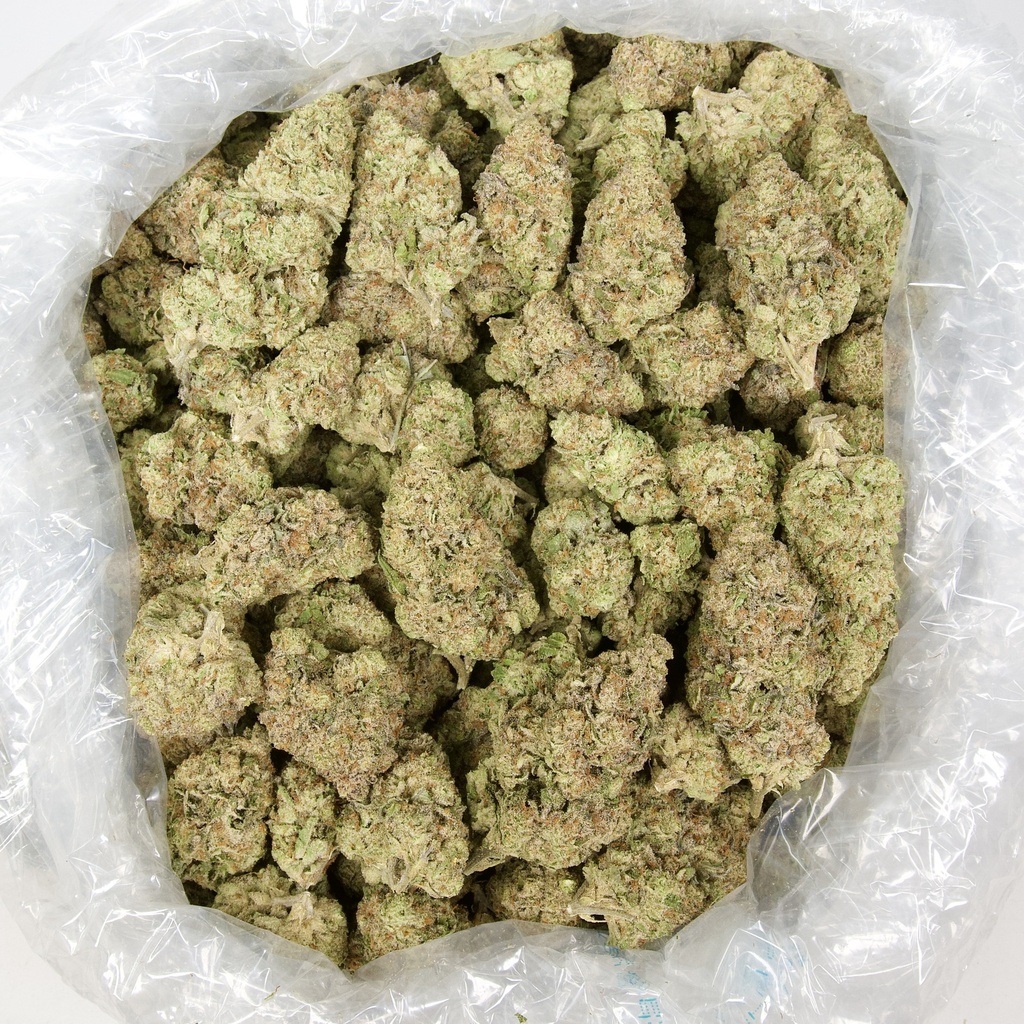 ALASKAN THUNDER FUCK
