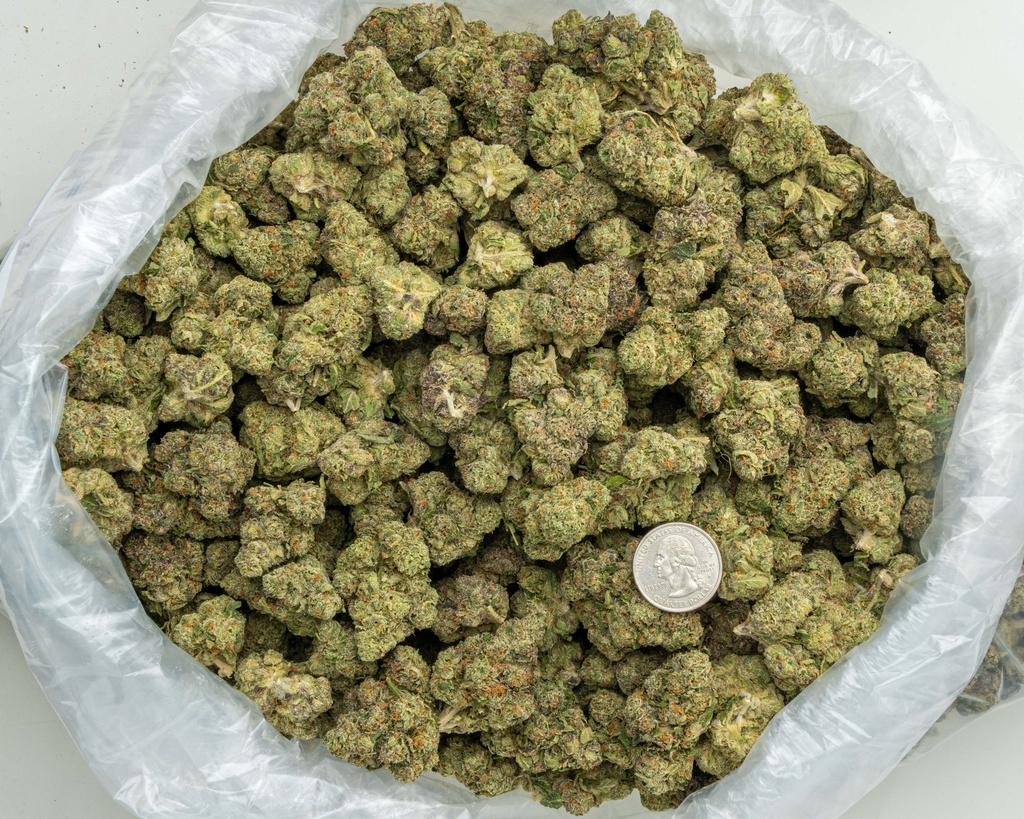 Candyland Indoor