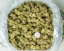 Candyland Indoor