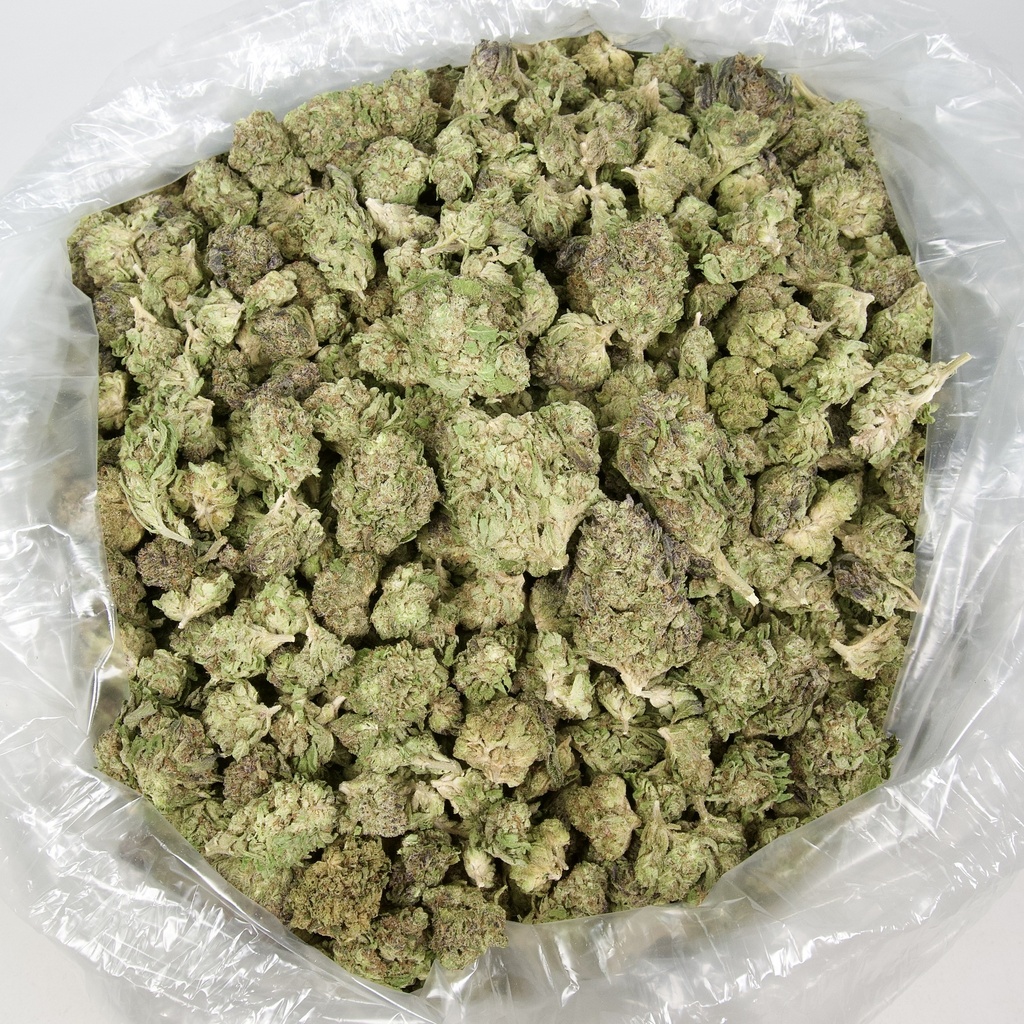 Alien OG