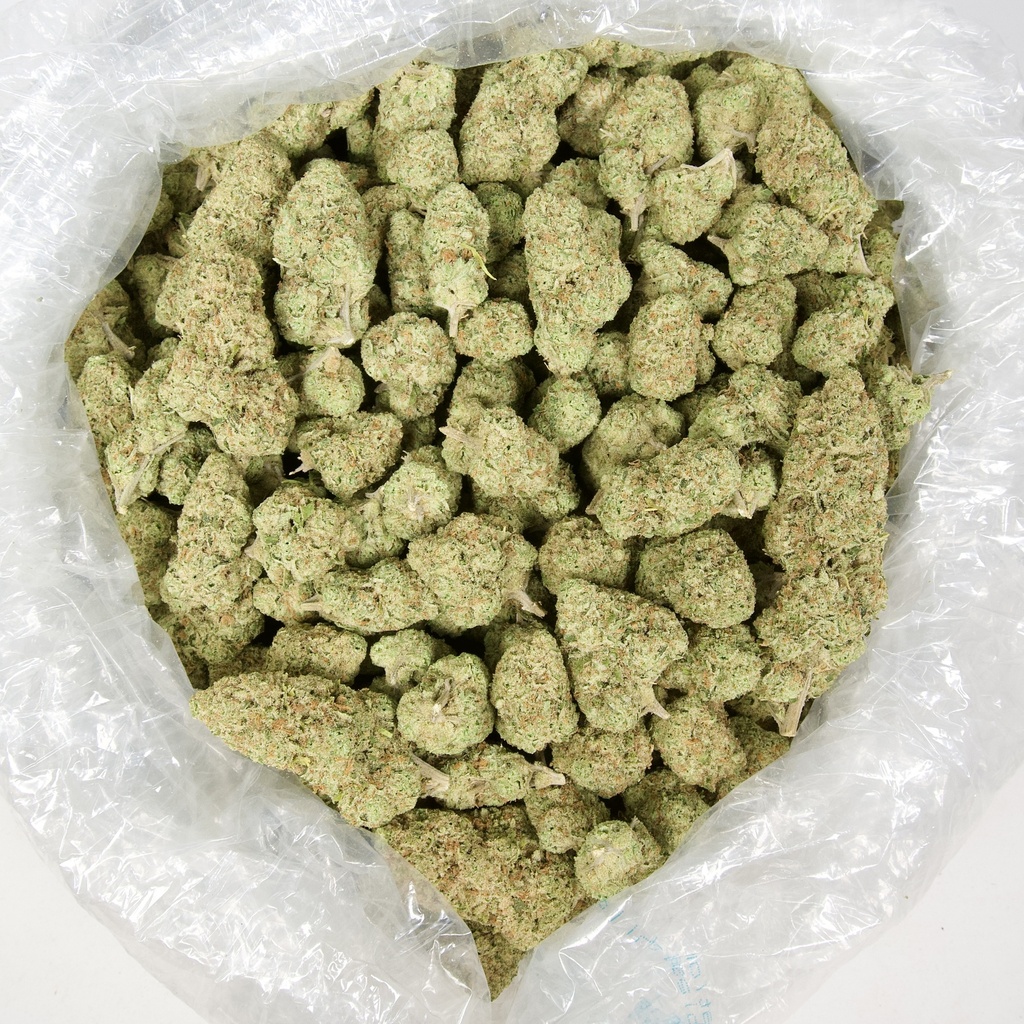 Cookies & Cream Indoor
