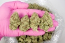 ALASKAN THUNDER FUCK