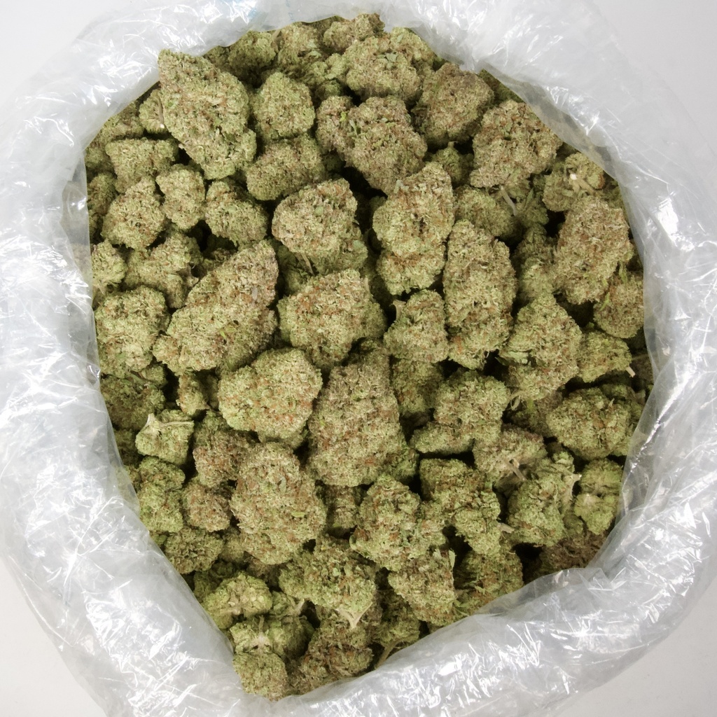 ALASKAN THUNDER FUCK