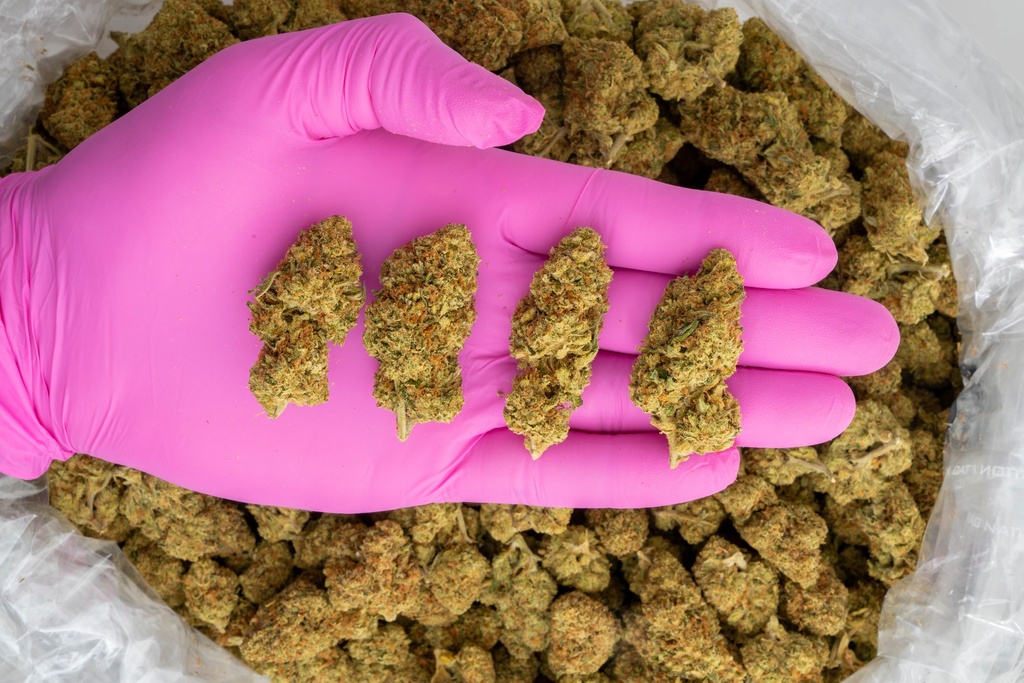 Sour Kush Breath