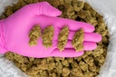 Sour Kush Breath