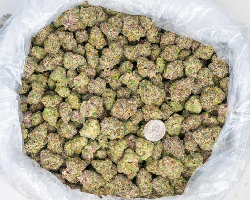 Stardawg Guava Indoor