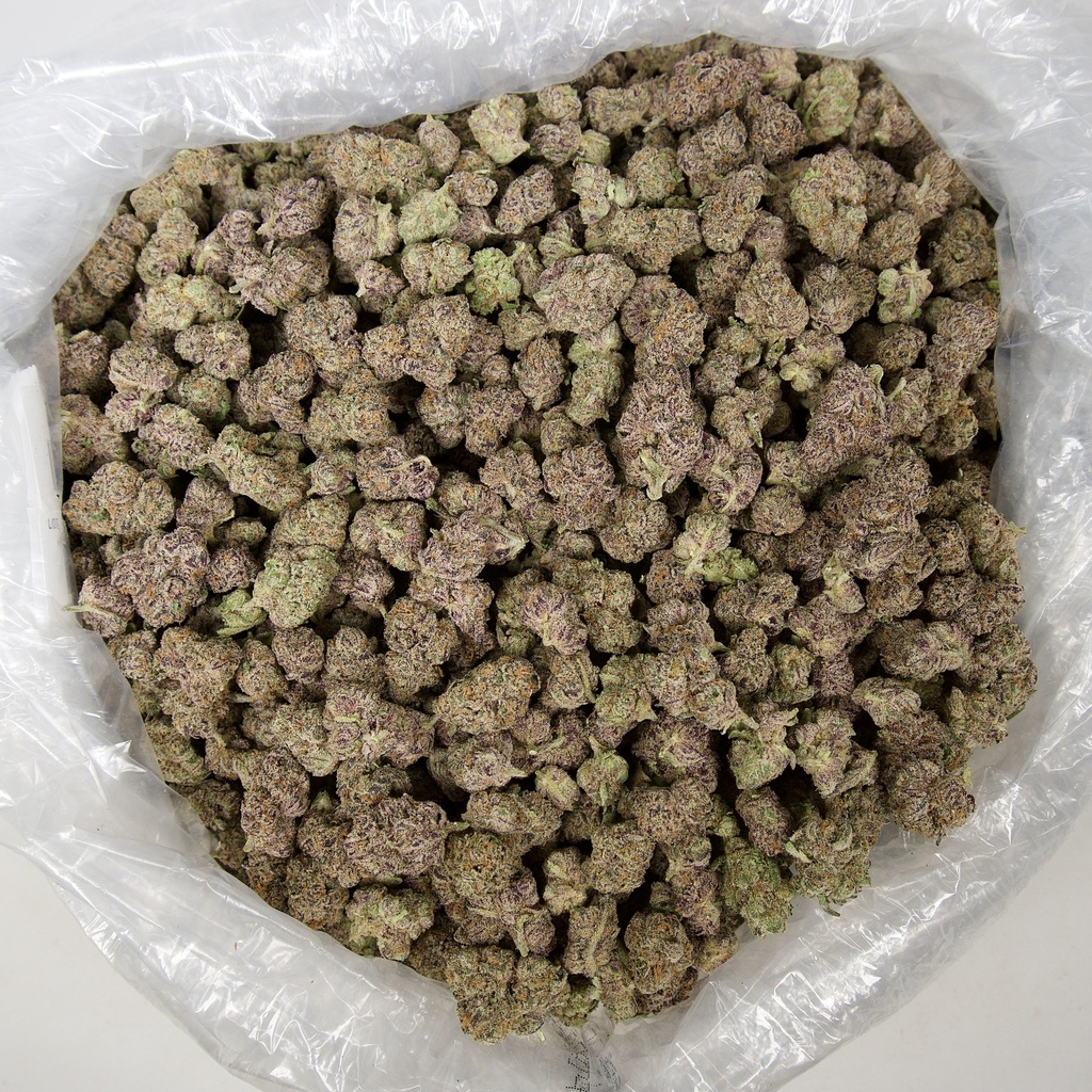 Zoreos Indoor Mediums