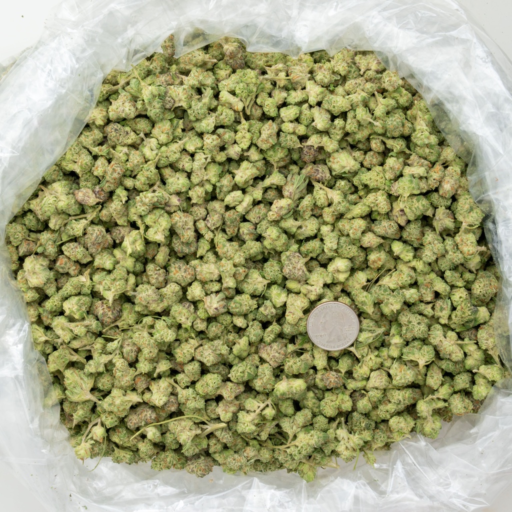 Purple Punch Indoor Smalls