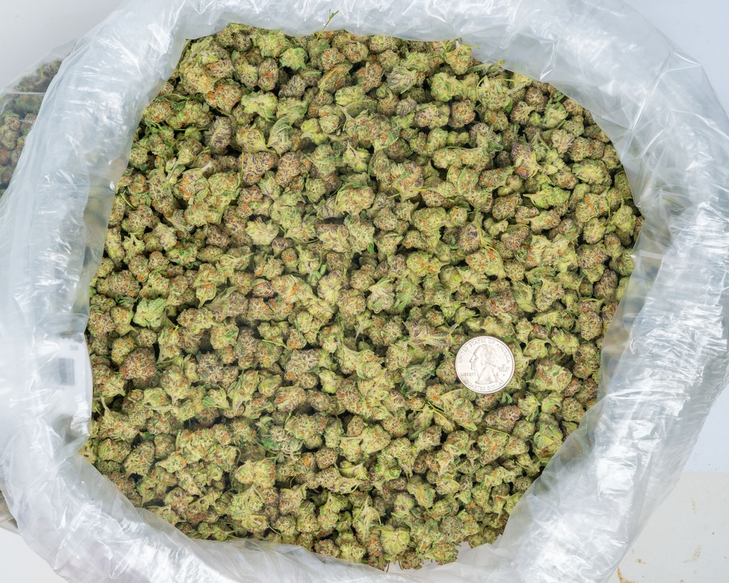 Purple Punch Smalls