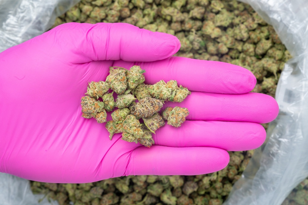 Purple Punch Smalls