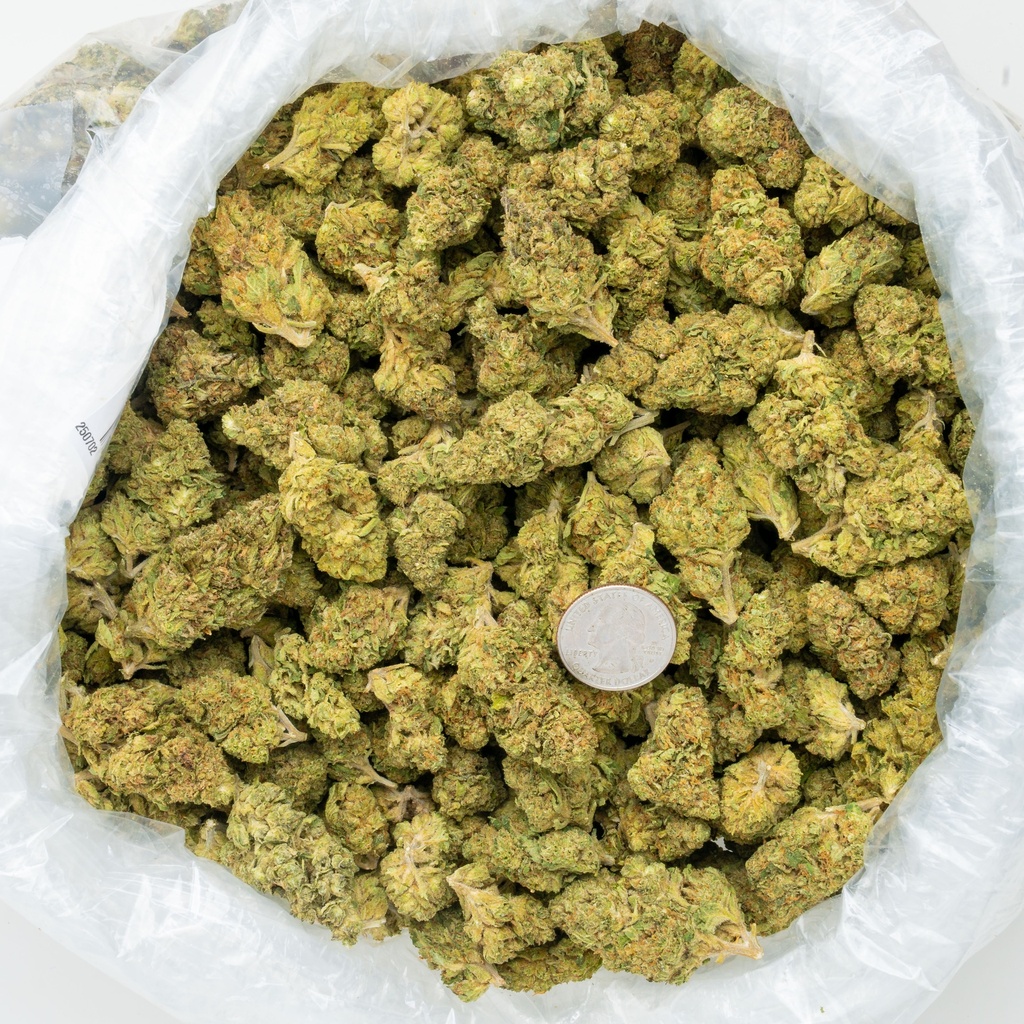 Kush Mintz