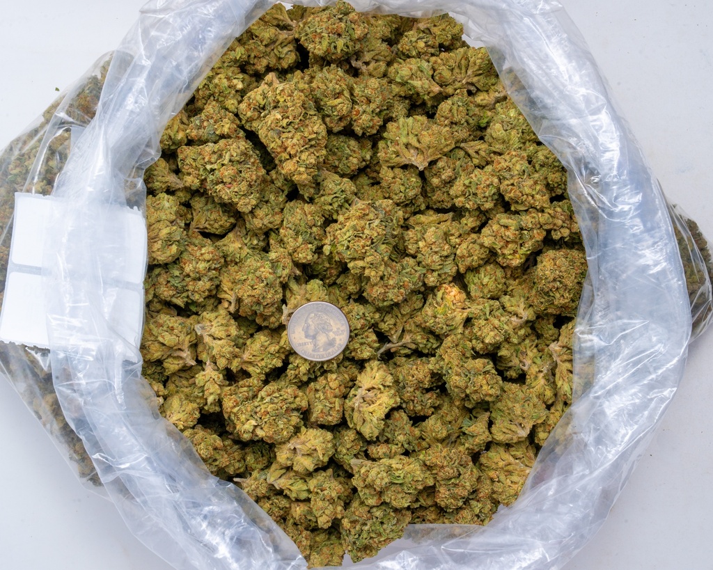 Cinderella OG 