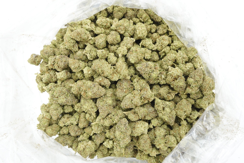 Dosidos Indoor