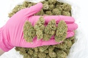 Bubba Cush Indoor (CBD)