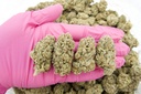 Habibi Indoor (CBD)