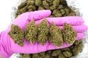 Habibi Indoor (CBD)