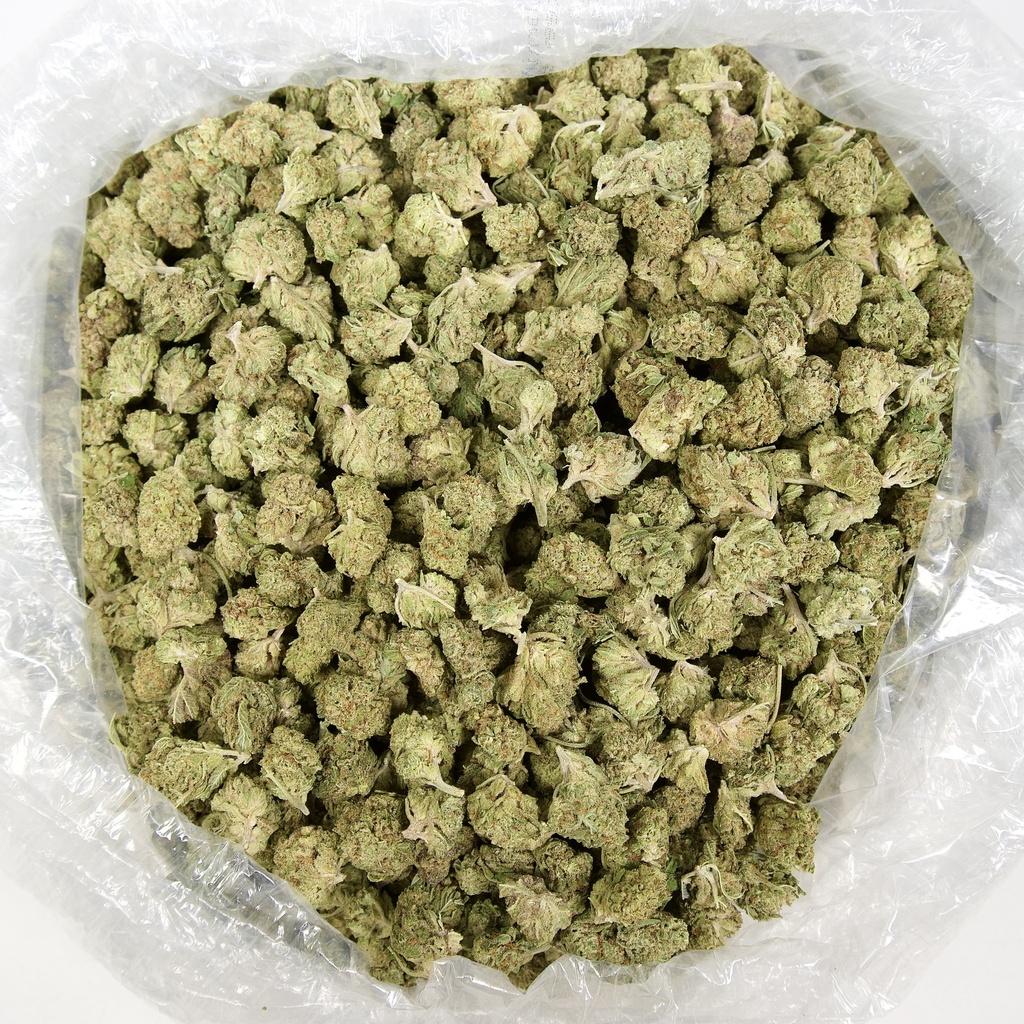Lemon Cherry Gelato Mediums