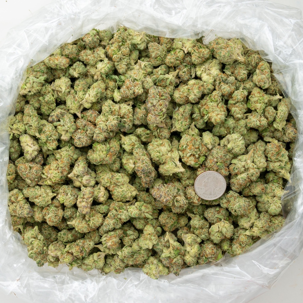 Lemon Cherry Gelato Mediums