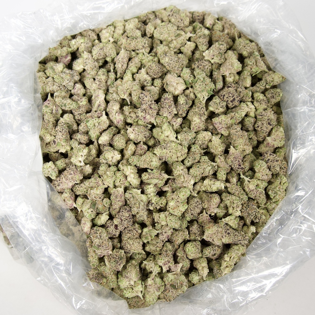 LA Pop Rocks Mediums