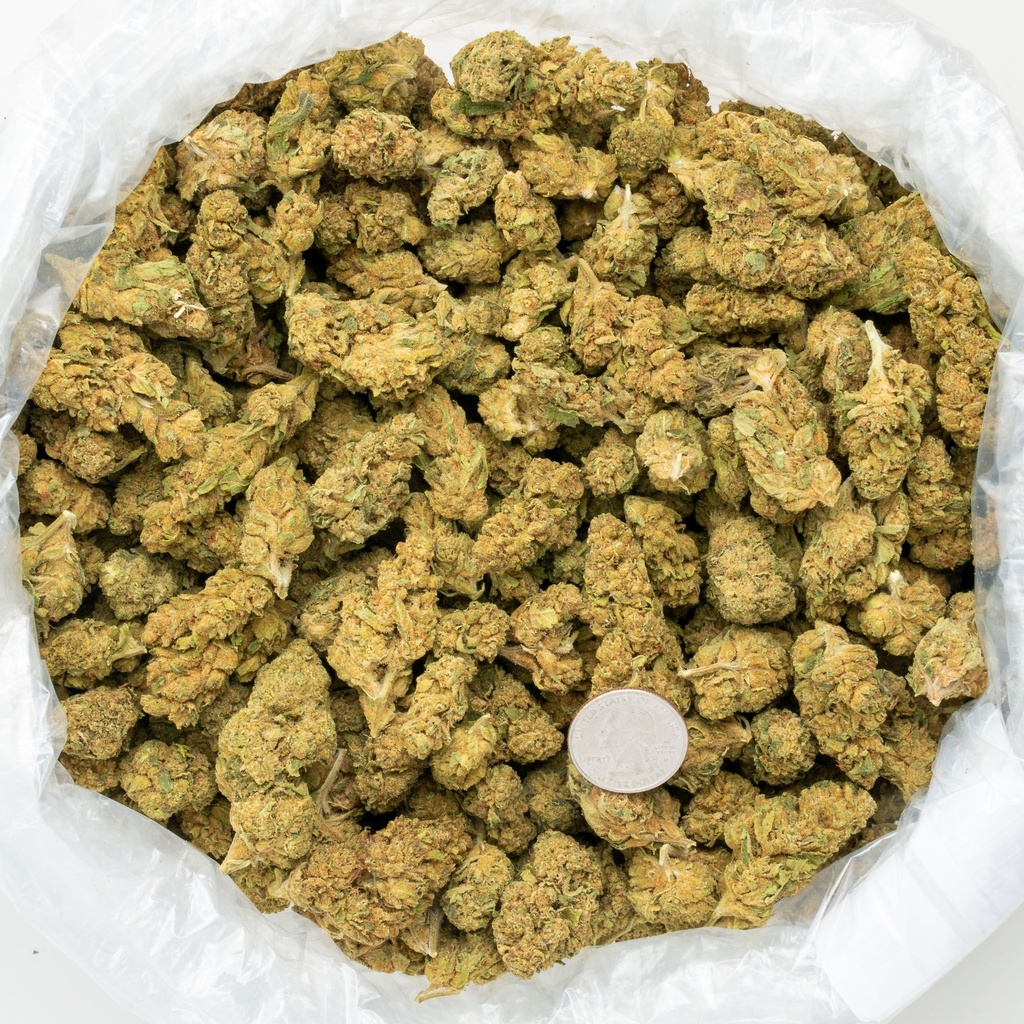 Apple Fritter
