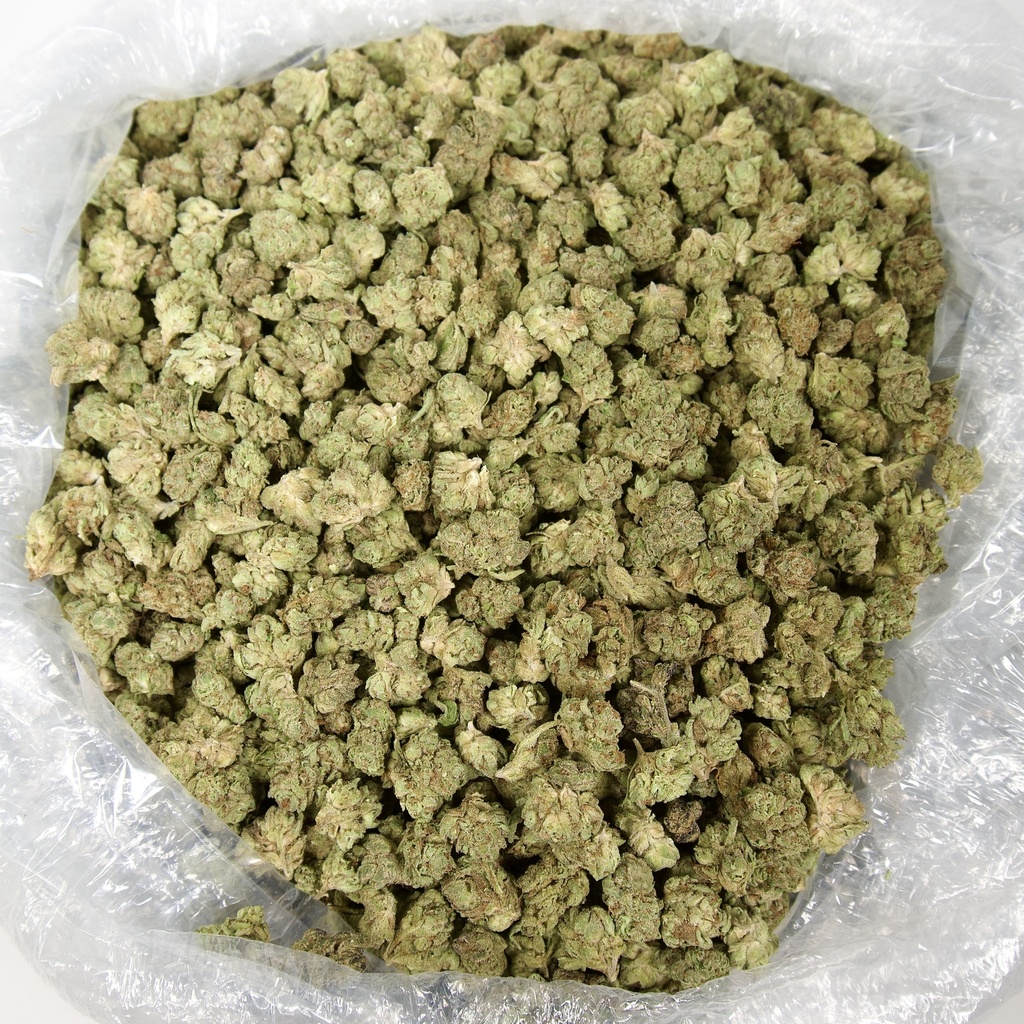 Turtle Pie Smalls