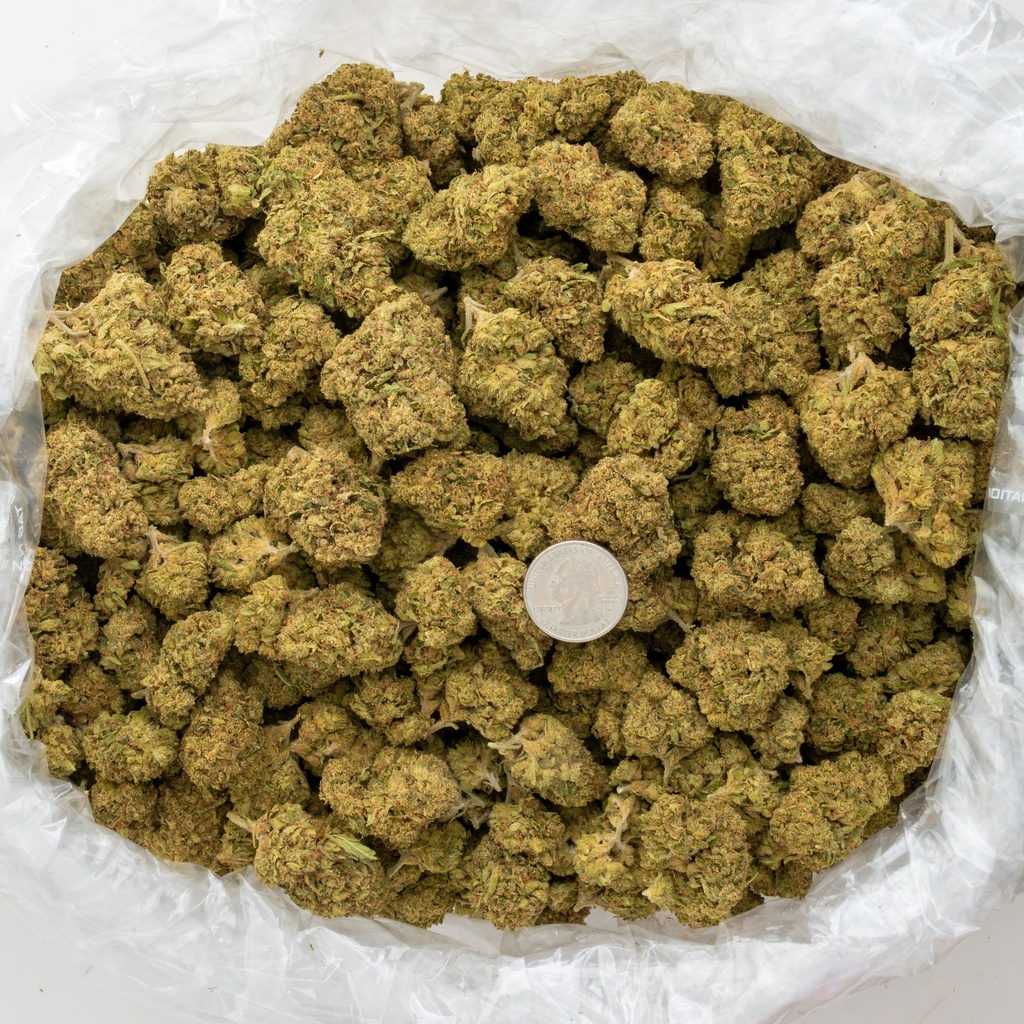Animal Face Sherbert