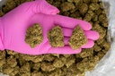 Animal Face Sherbert