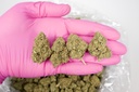 Pure Kush