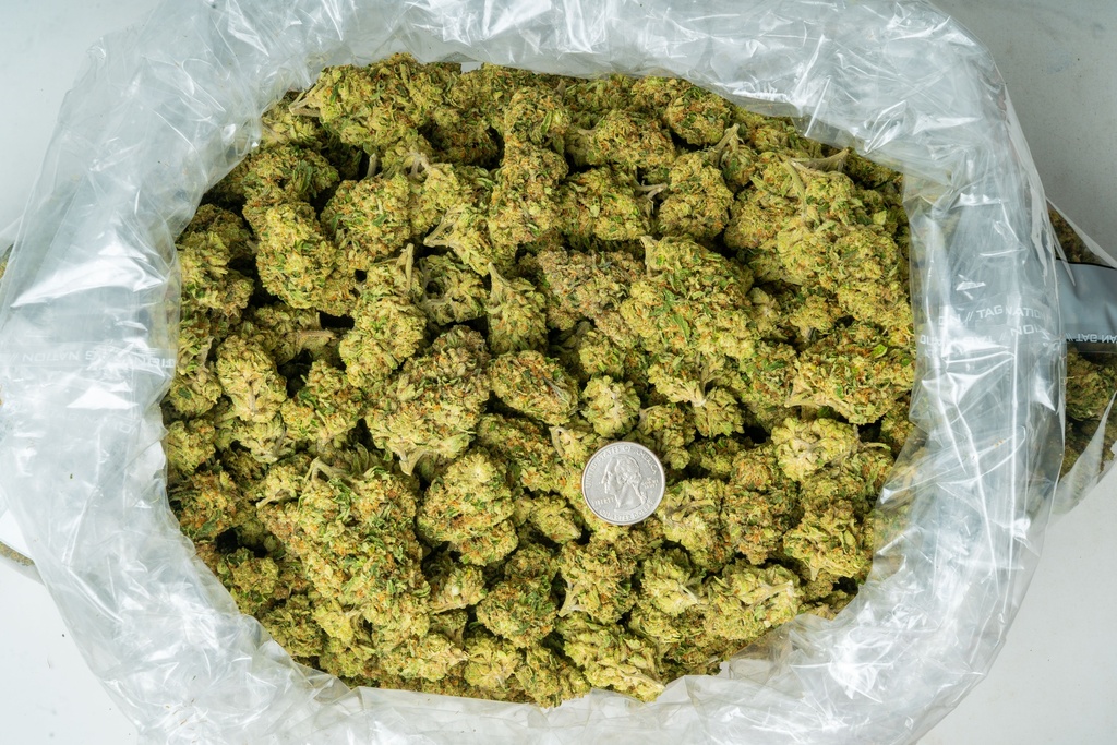 Skittlez