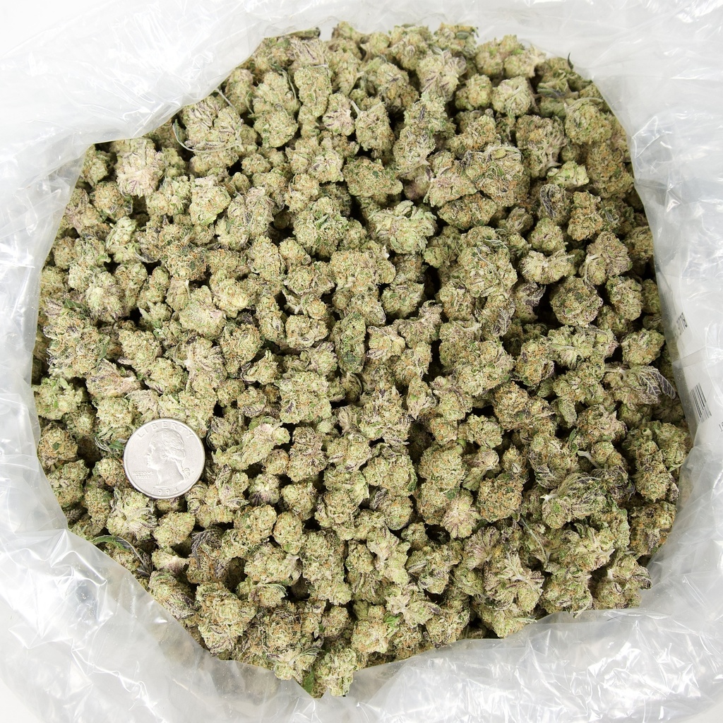 Blue Cherry Gelato Indoor Smalls