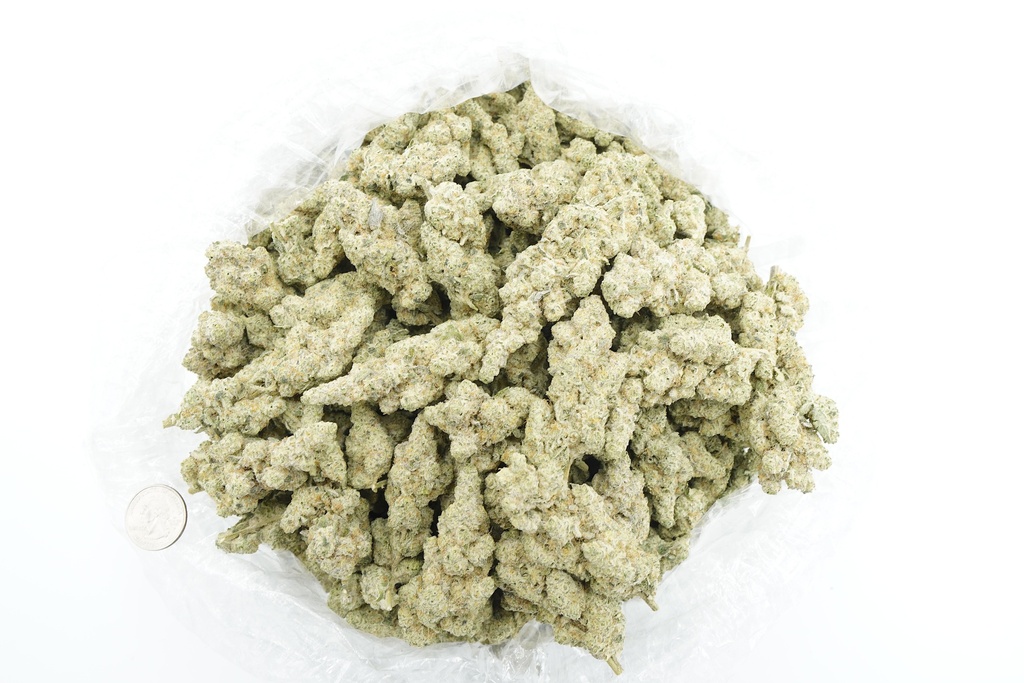 Frosted Freak Indoor