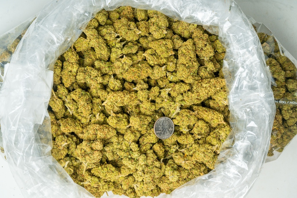 Hell's Angel OG