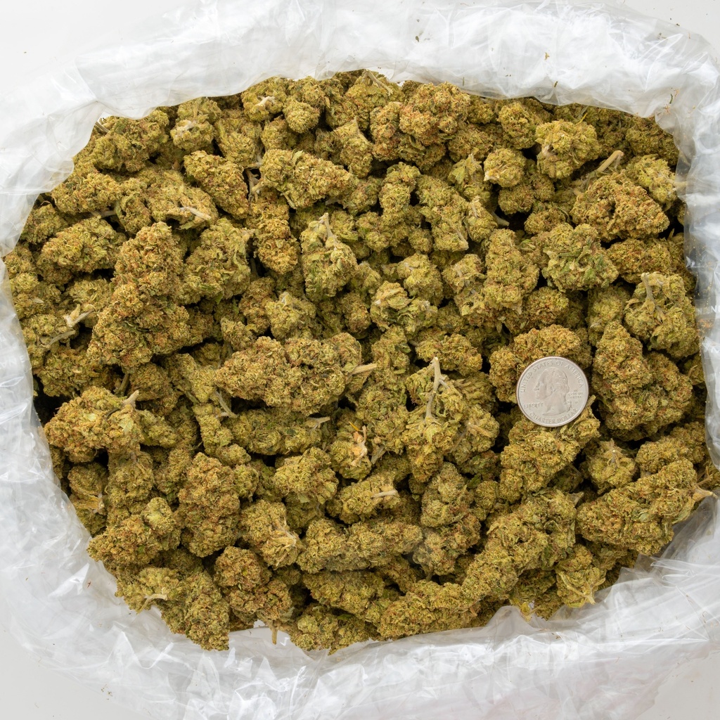 Hell's Angel OG