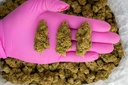 Hell's Angel OG