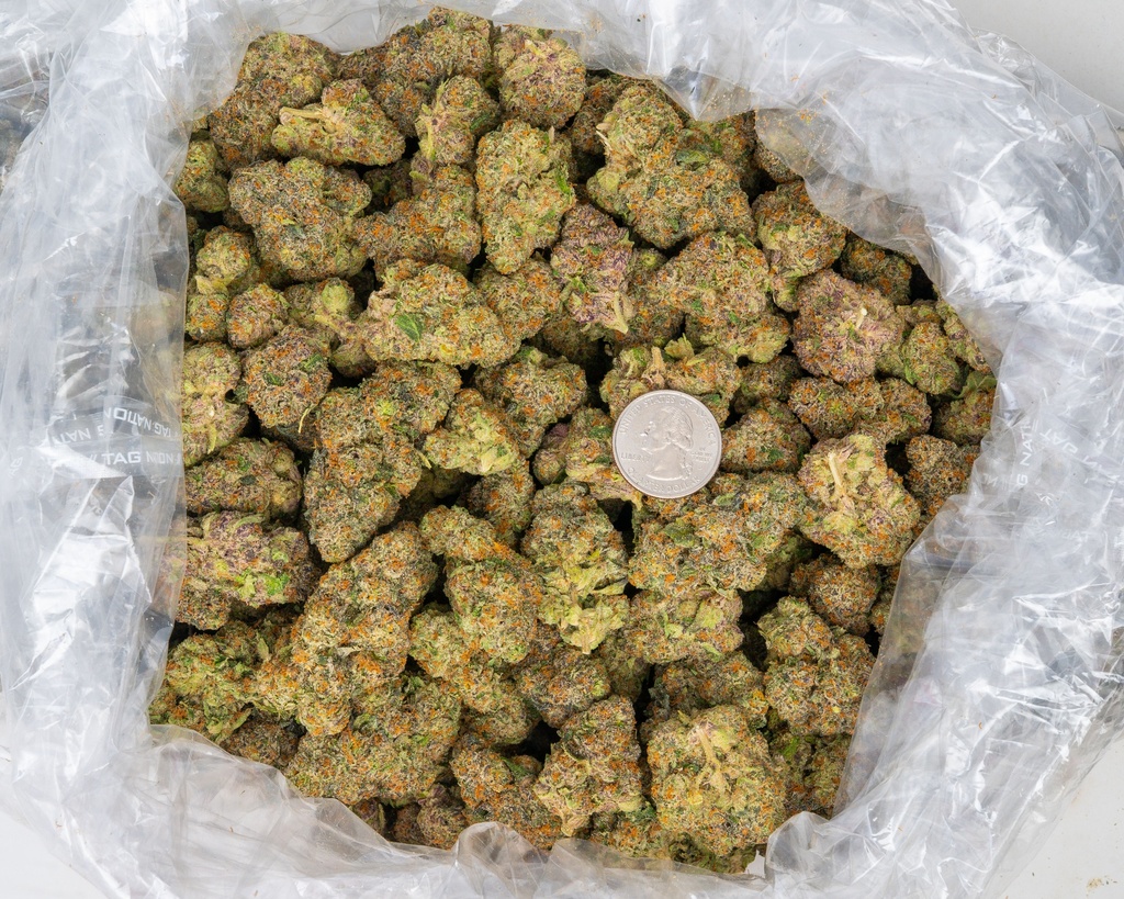 ROLLS CHOICE INDOOR