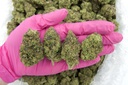 Gmo Cookies