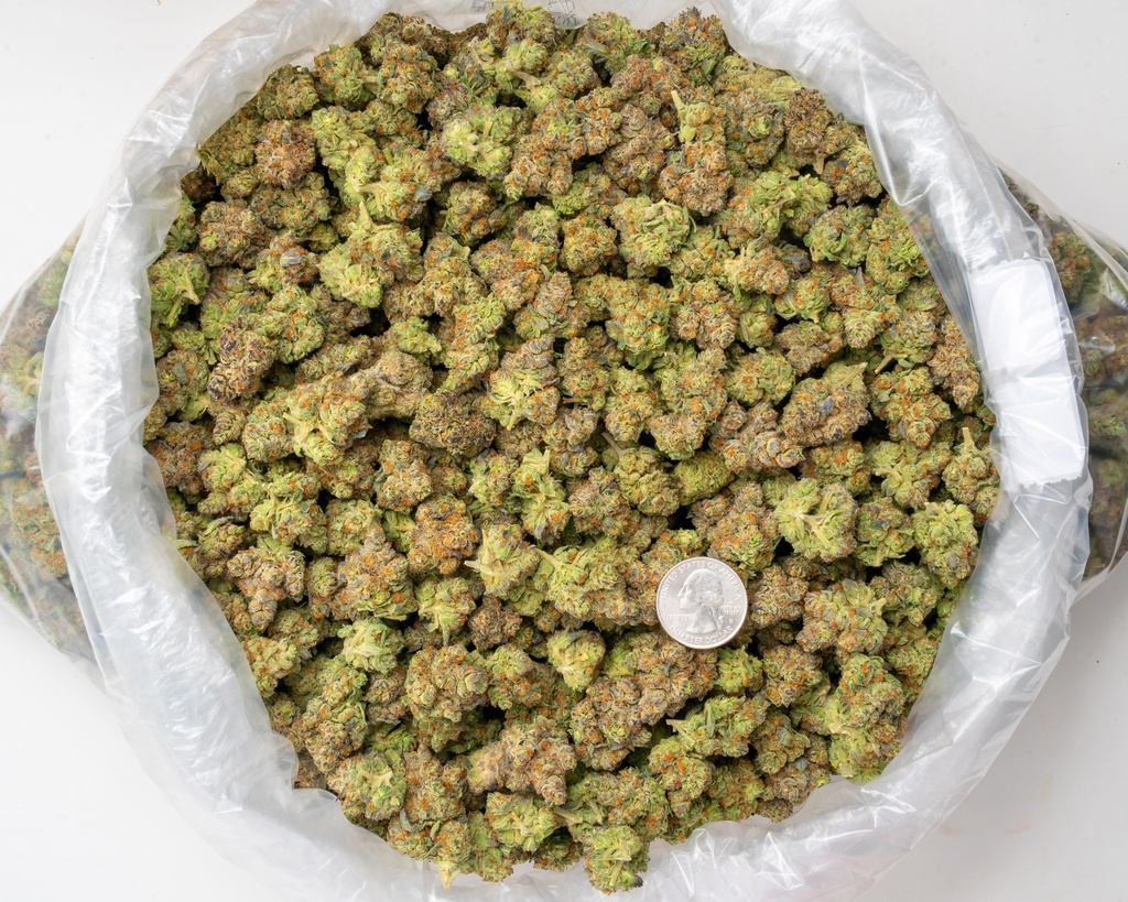 Candy Chrome Indoor