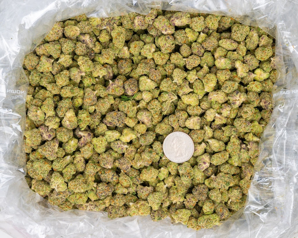 Candyland Indoor Smalls