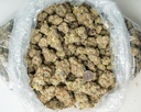 White Truffle Indoor