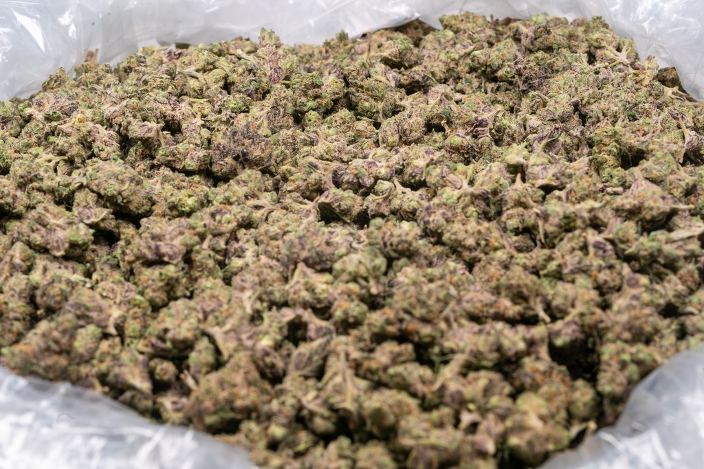Candy Gelato Smalls
