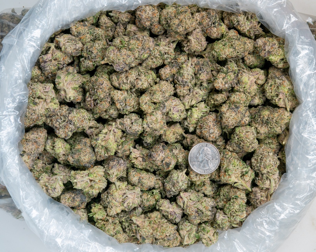 Lemon Bars Indoor