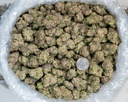 Lemon Bars Indoor