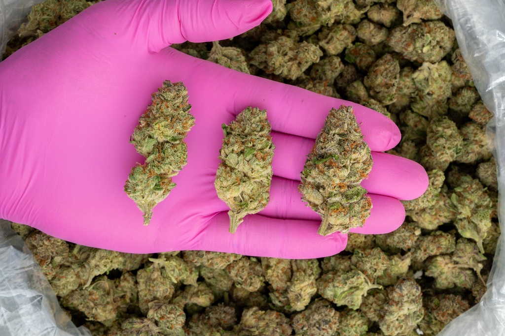 Gas Mints Indoor