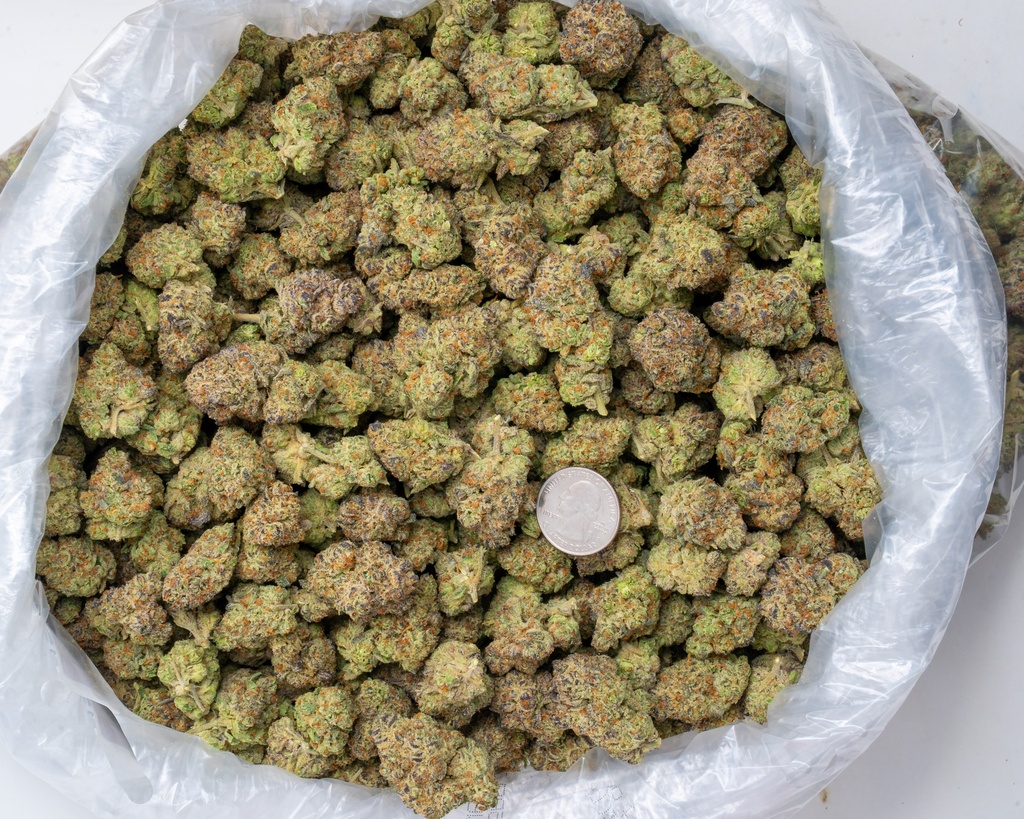 La Bomba Indoor