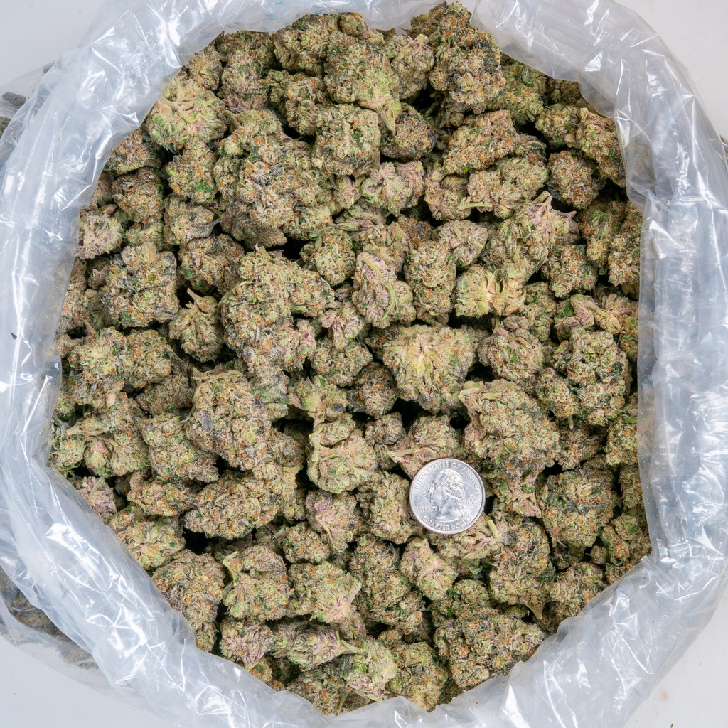La Bomba Indoor