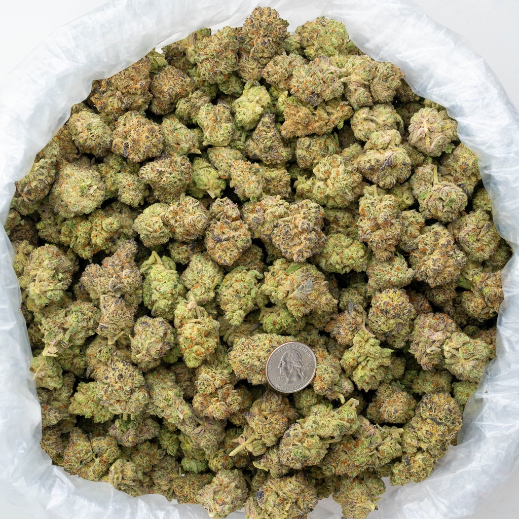 La Bomba Indoor