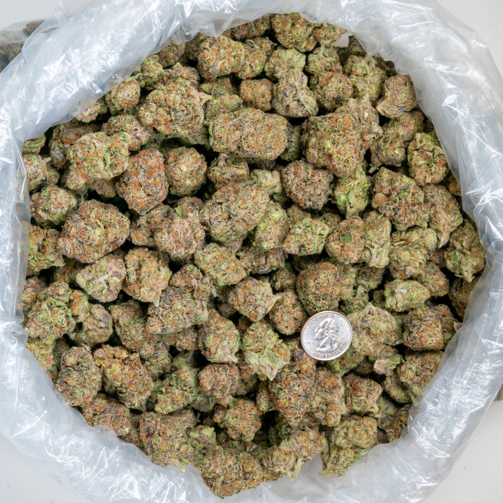 Blueberry Pancakes Indoor